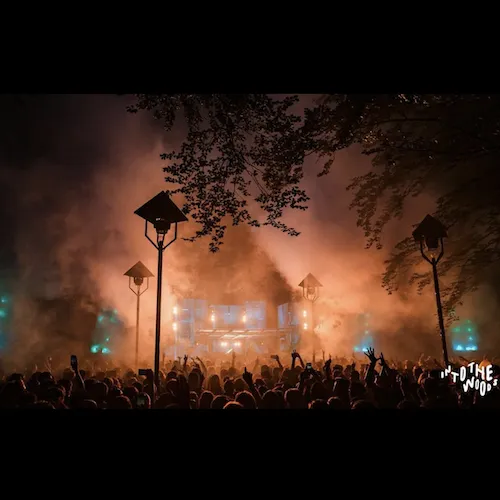 Into the woods festival Ade 2024 amsterdam